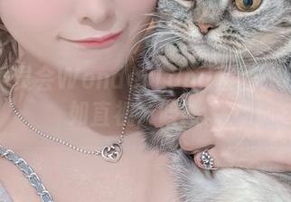 月城委员会WonderLand套图：瞎想不如直视，咳咳。